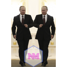 Дакимакура Путин 3